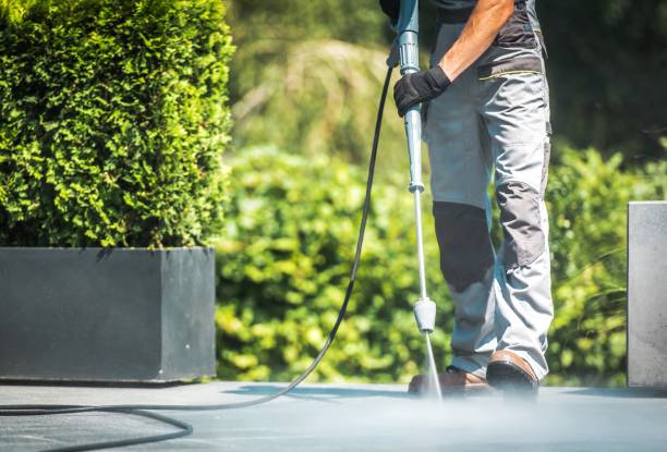 Best Building Exterior Pressure Washing in Stapleton, AL