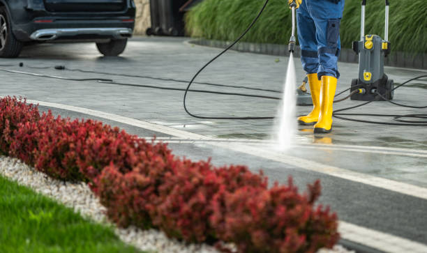 Best Concrete Surface Cleaning in Stapleton, AL
